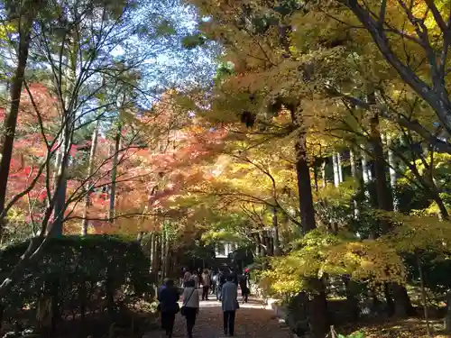 龍安寺(京都府)