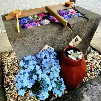極楽寺(静岡県)