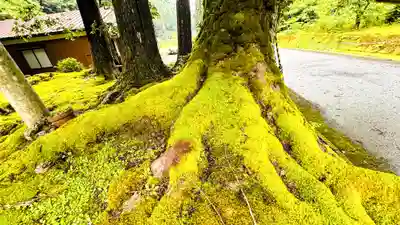 八幡神社(福井県)