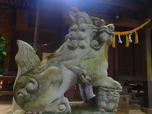 七百餘所神社 の狛犬