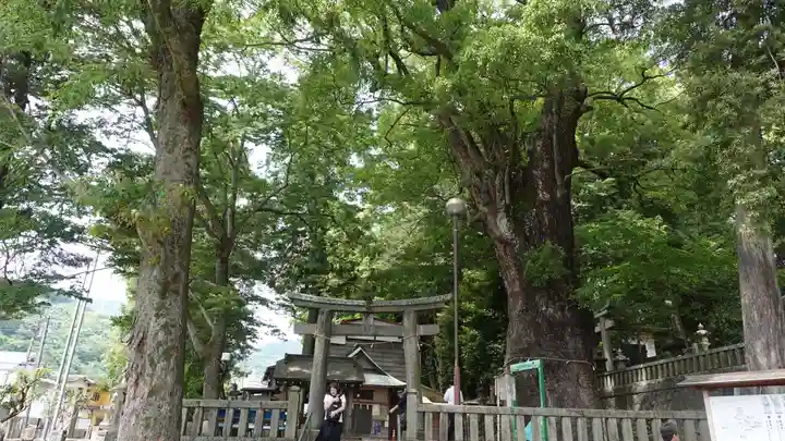 五所神社(神奈川県)