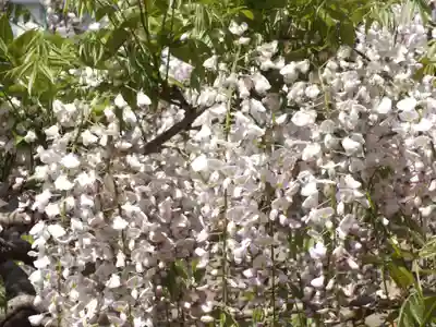 志那神社のその他建物