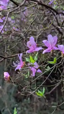 石山寺(滋賀県)