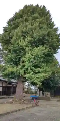 小動神社(神奈川県)