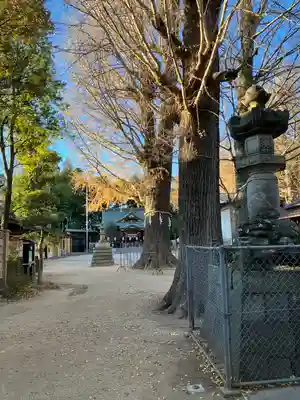 春日部八幡神社(埼玉県)