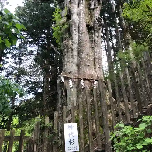 玉置神社(奈良県)