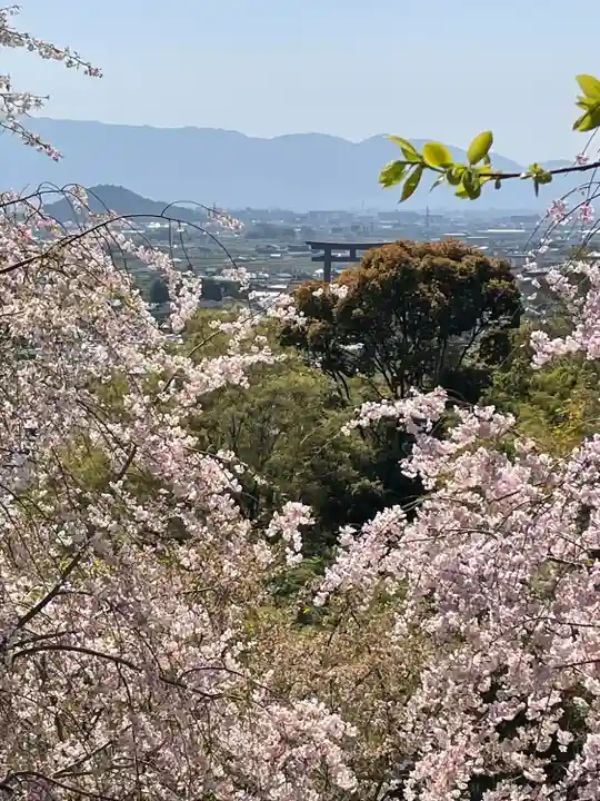 久延彦神社の景色
