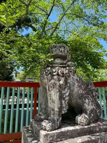 宮城縣護國神社の狛犬