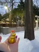 新琴似神社のおみくじ