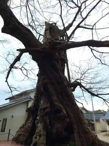 神魂伊能知奴志神社(島根県)