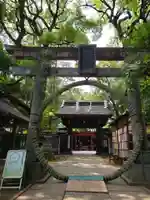 赤坂氷川神社(東京都)