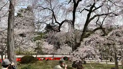 醍醐寺(京都府)