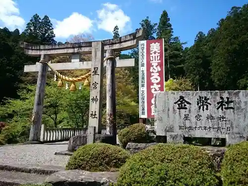 星宮神社の鳥居