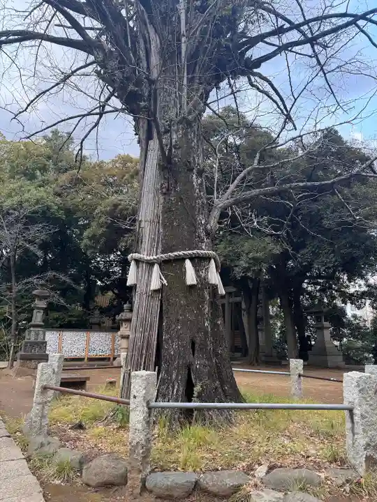 赤坂氷川神社(東京都)