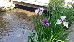 賀茂別雷神社（上賀茂神社）の庭園