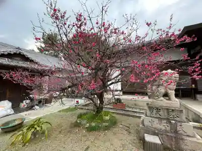 等乃伎神社の自然