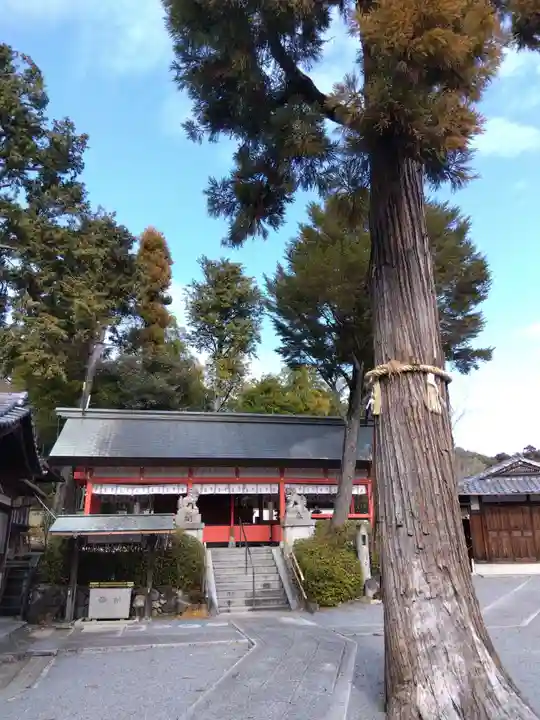 住吉大伴神社(京都府)