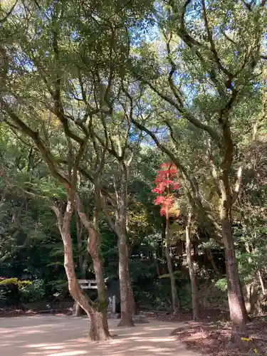 徳光院のその他建物