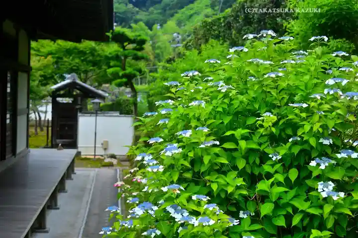 長壽寺(長寿寺)(神奈川県)