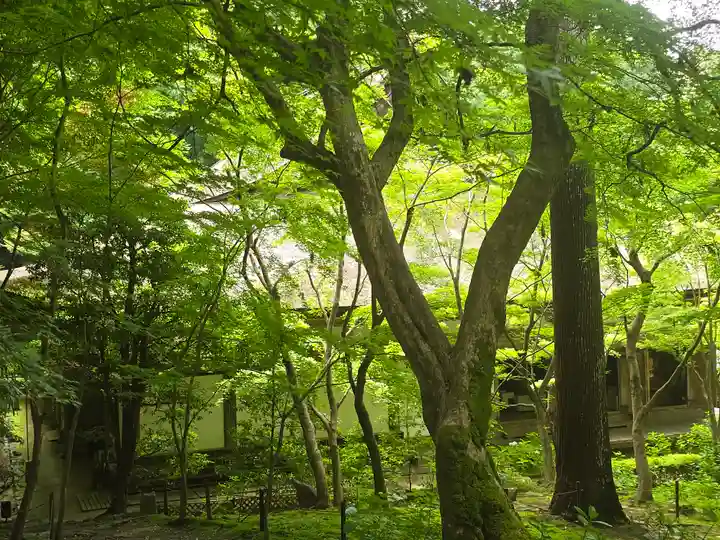 金剛輪寺(滋賀県)