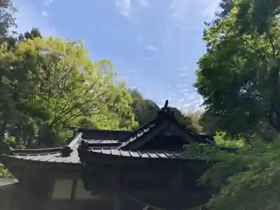 五所駒瀧神社(茨城県)