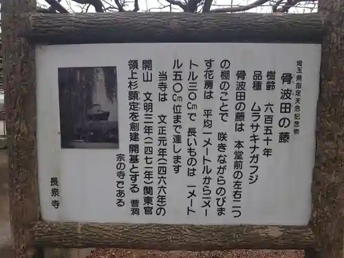 長泉寺の歴史