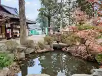 大井俣窪八幡神社の庭園