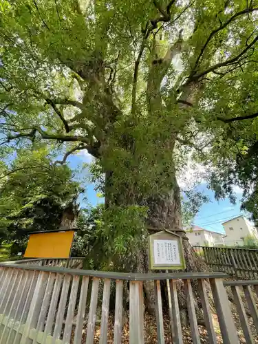 伊勢神明社(静岡県)