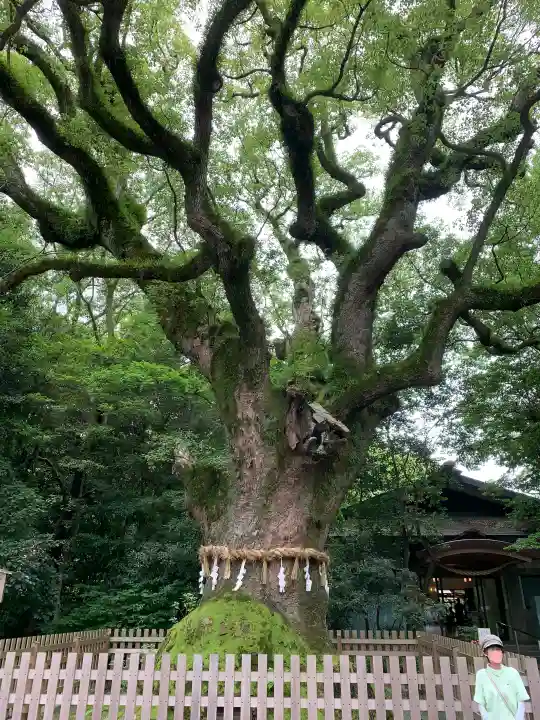 熱田神宮の{uncategorized: "未分類", other: "その他", undefined: "問題あり", building: "その他建物", grave: "お墓", sacred_gate: "鳥居", guardian: "狛犬", statue: "像", buddha: "仏像", history: "歴史", nature: "自然", garden: "庭園", animal: "動物", pagoda: "塔", temizu: "手水舎", mountain_gate: "山門・神門", sanctuary: "本殿・本堂", subordinate: "末社・摂社", art: "芸術", scenery: "景色", jizo: "地蔵", ema: "絵馬", goshuin: "御朱印", omikuji: "おみくじ", items: "授与品その他", amulet: "お守り", goshuincho: "御朱印帳", eats: "食事", festival: "お祭り", votive_dance: "神楽", shichigosan: "七五三参", wedding: "結婚式", experience: "体験その他", initially: "初詣", around: "周辺", anti_infection: "感染症対策"}