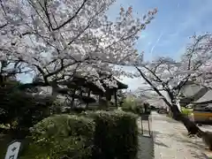 橘寺の庭園