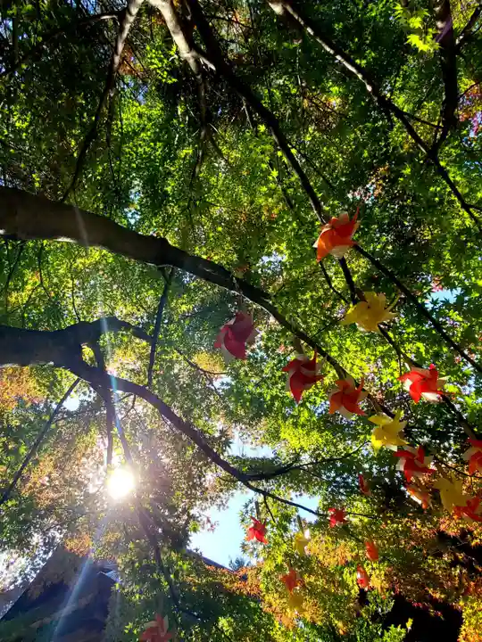 滑川神社 - 仕事と子どもの守り神の景色