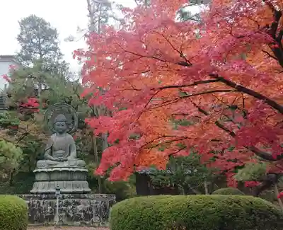 岩殿山安楽寺(吉見観音)の仏像