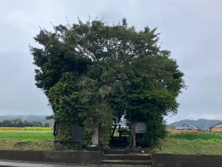 枚聞神社(鹿児島県)