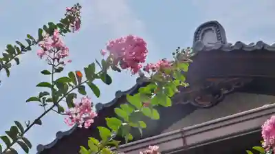 法音寺のその他建物