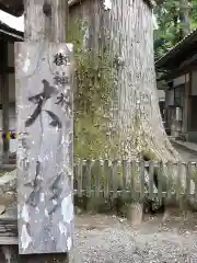 伊和神社の自然