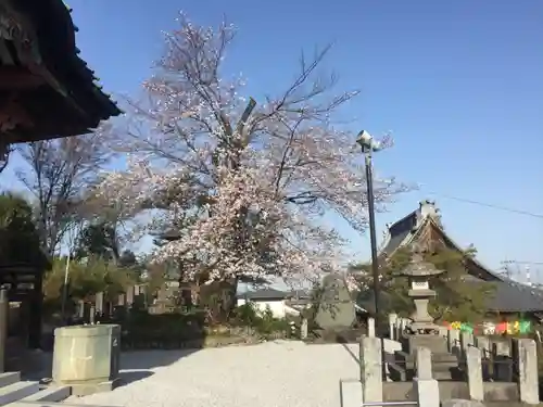埼玉厄除け開運大師・龍泉寺（切り絵御朱印発祥の寺）のその他建物
