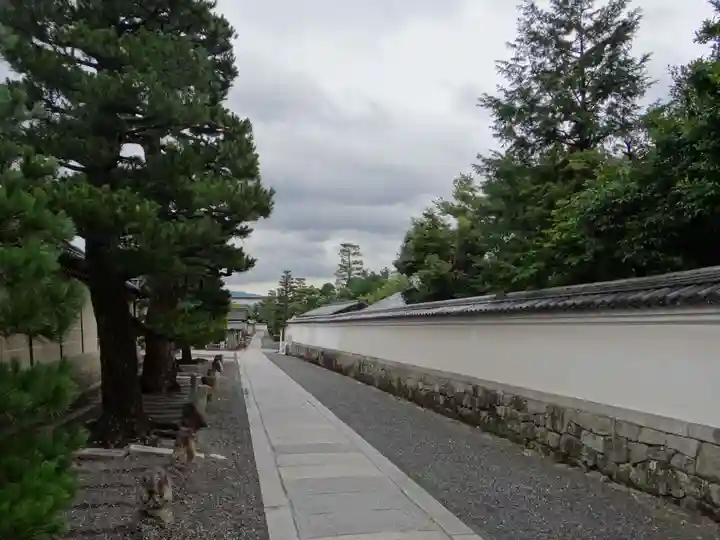 妙心寺(妙心禅寺)(京都府)