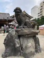 浅草神社の狛犬