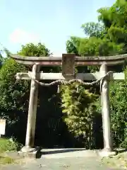 神龍八大龍王神社の鳥居