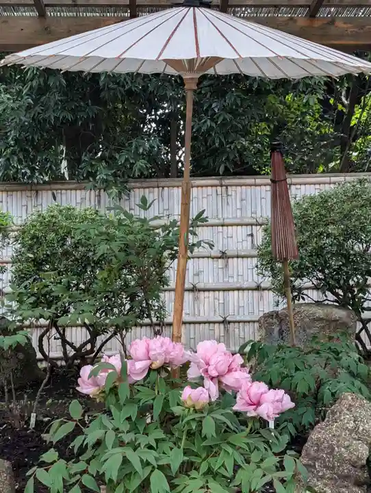 鶴岡八幡宮の庭園