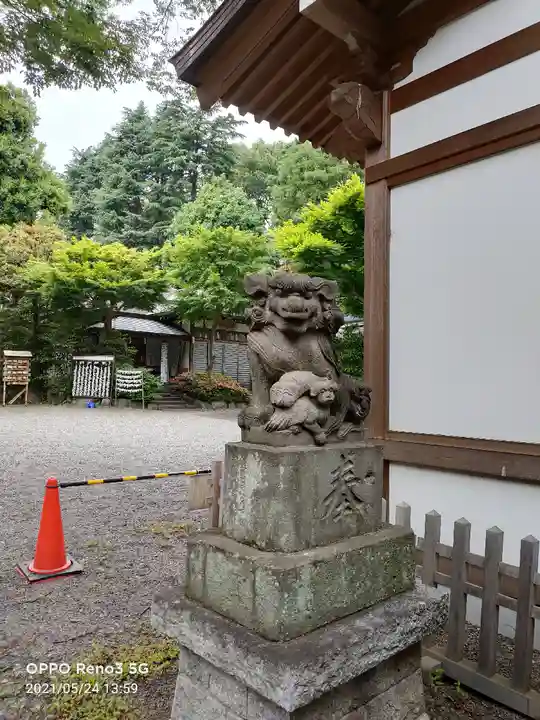 青渭神社の狛犬