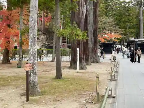 瑞巌寺(宮城県)