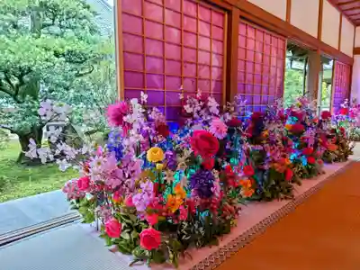 隨心院(随心院)(京都府)