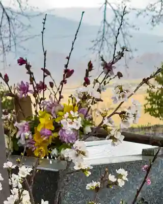 高司神社〜むすびの神の鎮まる社〜(福島県)