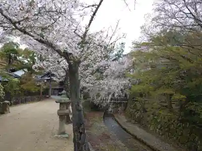厳島神社(広島県)