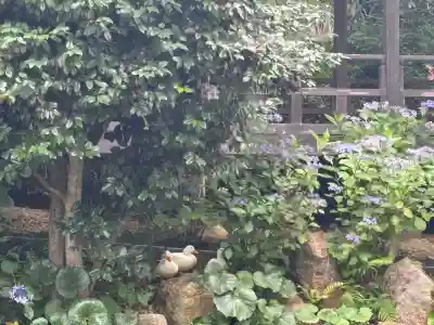楽法寺(雨引観音)(茨城県)