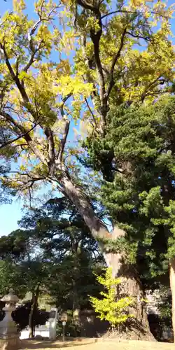 五霊神社の自然