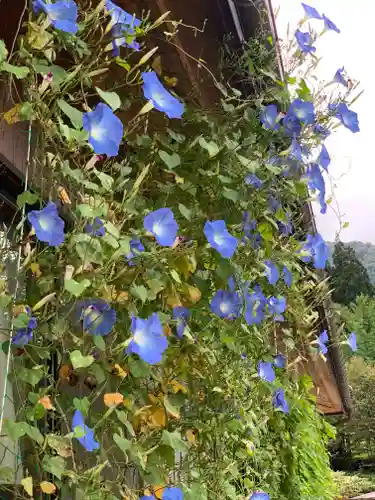 松原山 明善寺の自然