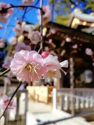 布多天神社(東京都)