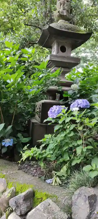 高幡不動尊 金剛寺(東京都)